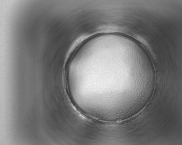 X0000080131472200612221844