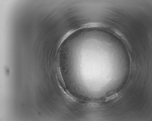 X0000080131473200612221844