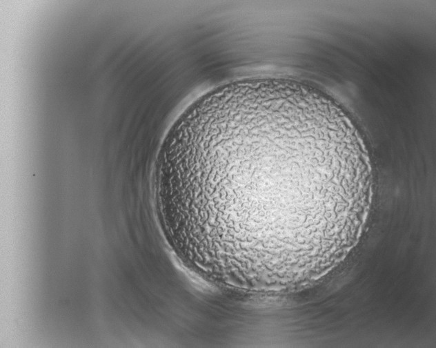 X0000080131474200612221844