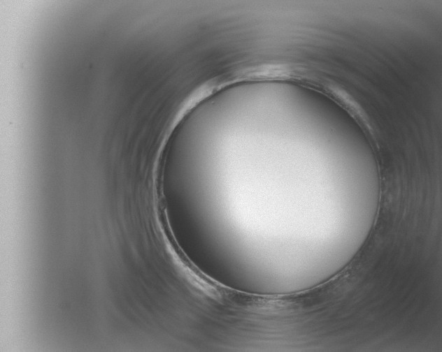 X0000080131475200612221844