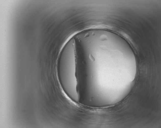 X0000080131476200612221844