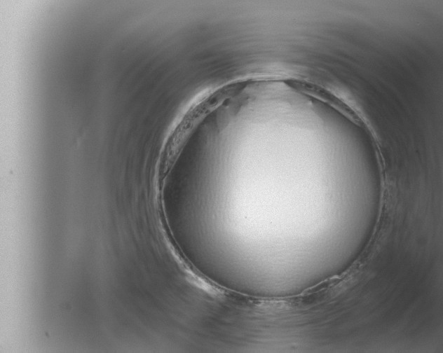 X0000080131477200612221844