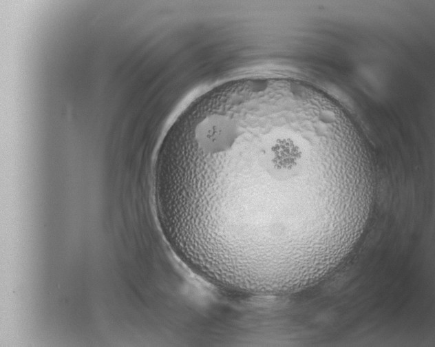 X0000080131478200612221844