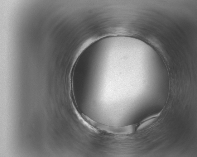 X0000080131479200612221844