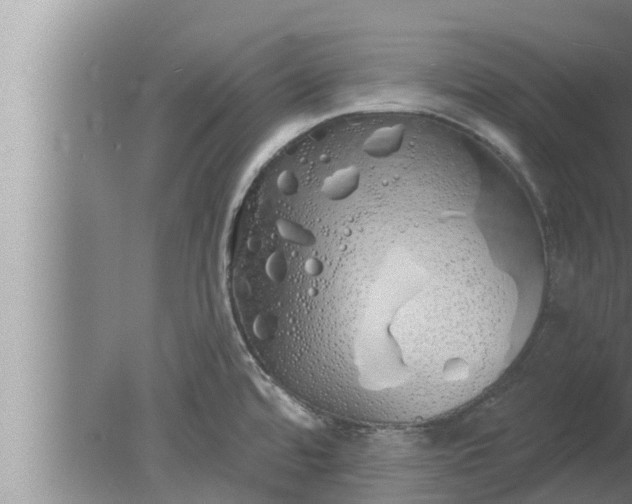 X0000080131480200612221844