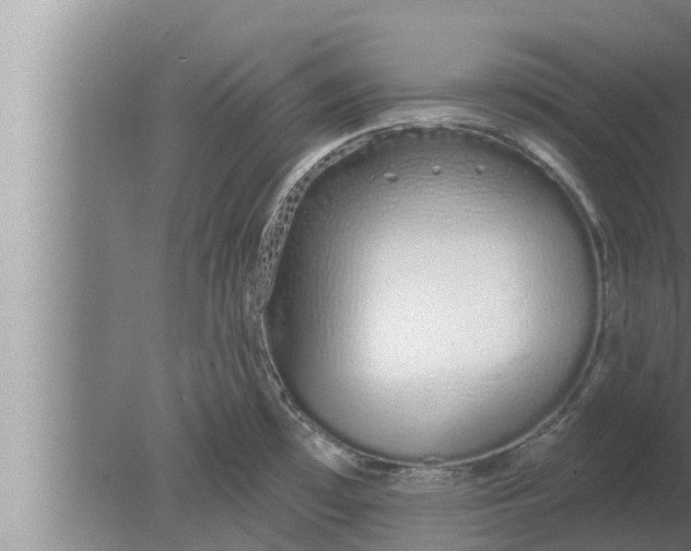 X0000080131481200612221844