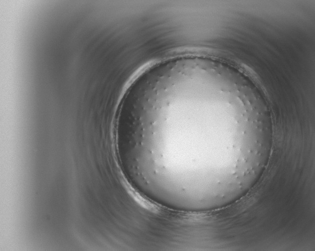 X0000080131482200612221844