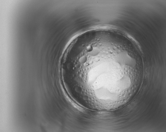 X0000080131483200612221844