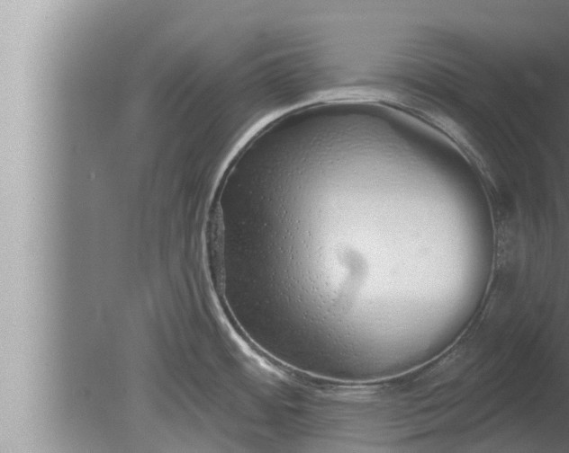 X0000080131484200612221844