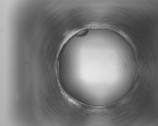 X0000080131486200612221844