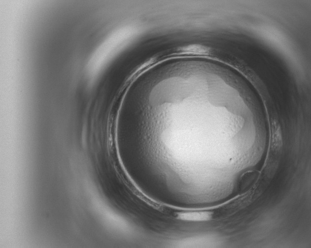 X0000080131487200612221844