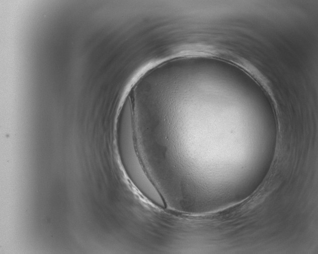 X0000080131488200612221844