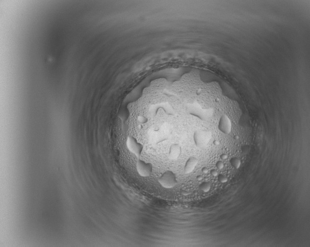 X0000080131489200612221843