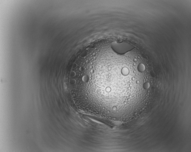 X0000080131490200612221843