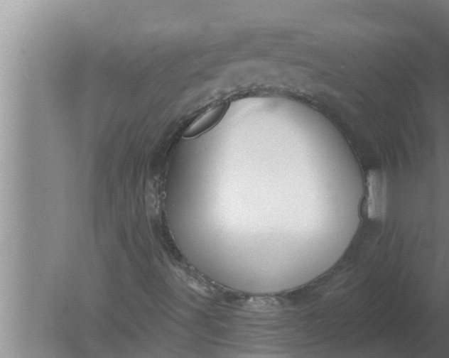 X0000080131491200612221843