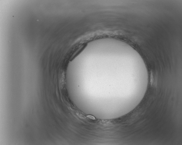 X0000080131492200612221843