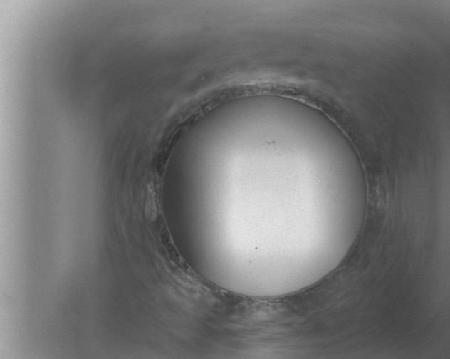 X0000080131493200612221843