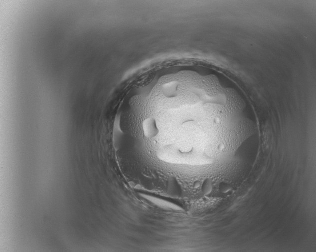 X0000080131494200612221843