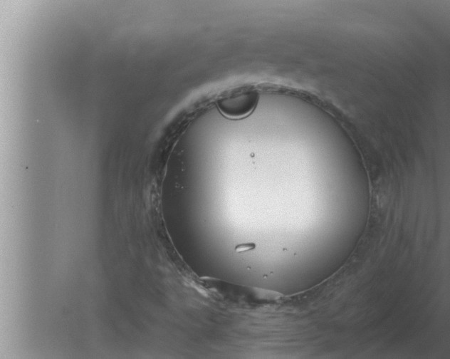 X0000080131495200612221843