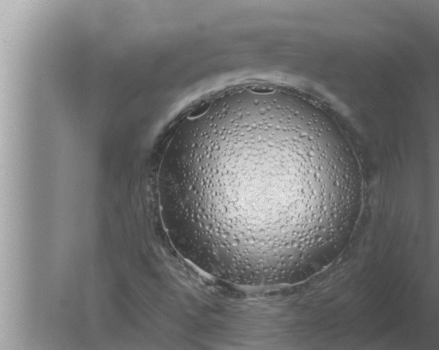 X0000080131496200612221843