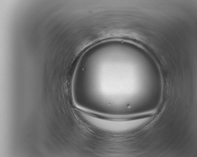 X0000080131497200612221843