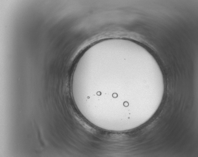 X0000080131498200612221843