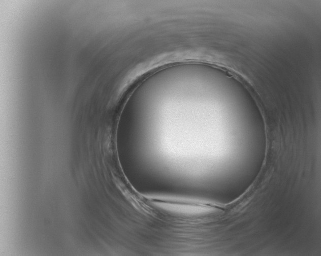 X0000080131499200612221843