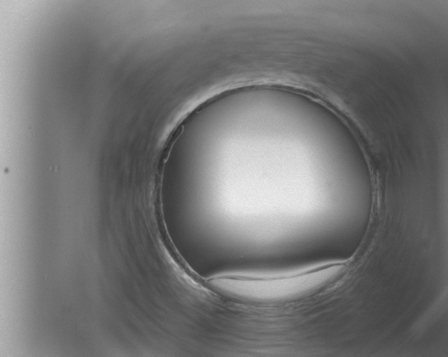 X0000080131500200612221843