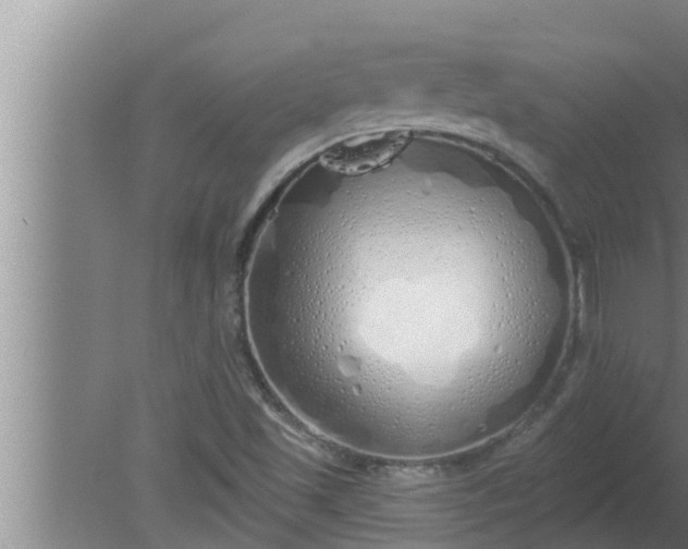 X0000080131501200612221843