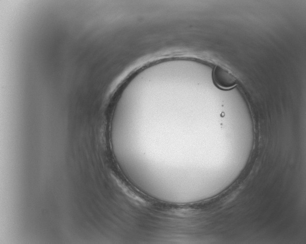 X0000080131502200612221843