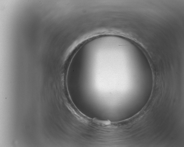 X0000080131503200612221844