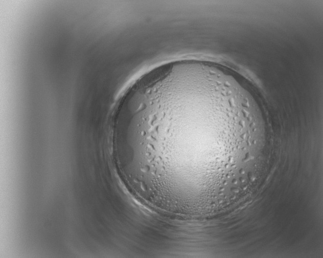 X0000080131504200612221844