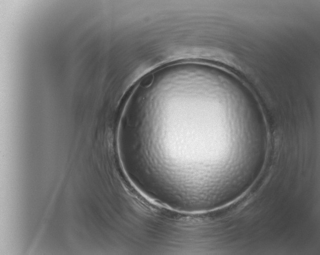 X0000080131505200612221844