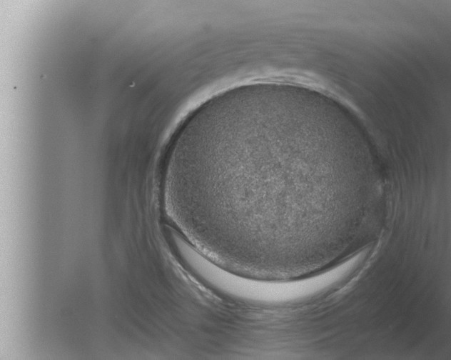 X0000080131506200612221844