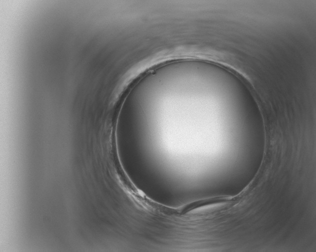 X0000080131507200612221844