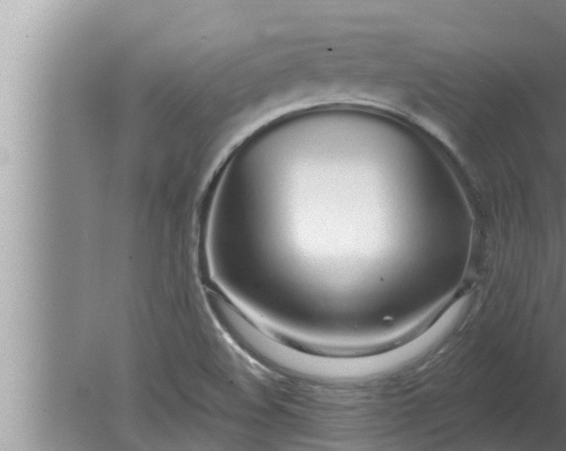 X0000080131508200612221844