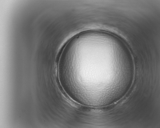 X0000080131509200612221844