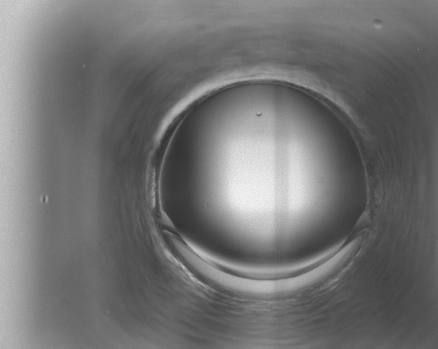 X0000080131510200612221844