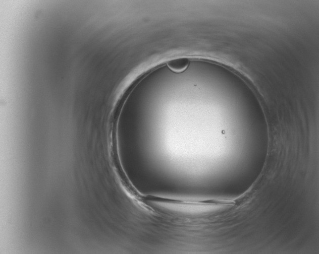 X0000080131511200612221844