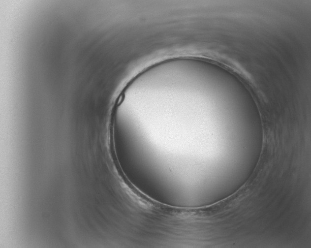 X0000080131512200612221844