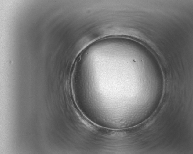 X0000080131513200612221844