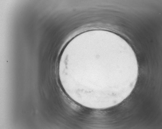 X0000080131514200612221844