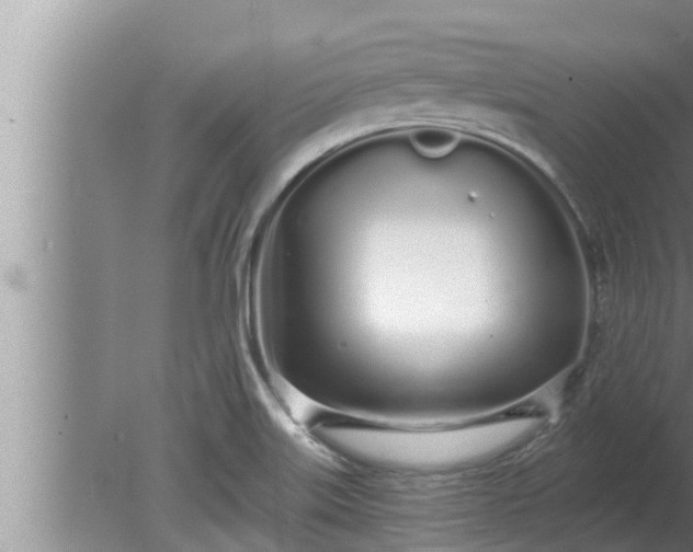 X0000080131515200612221844