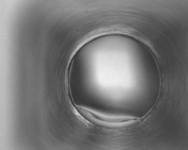 X0000080131516200612221844