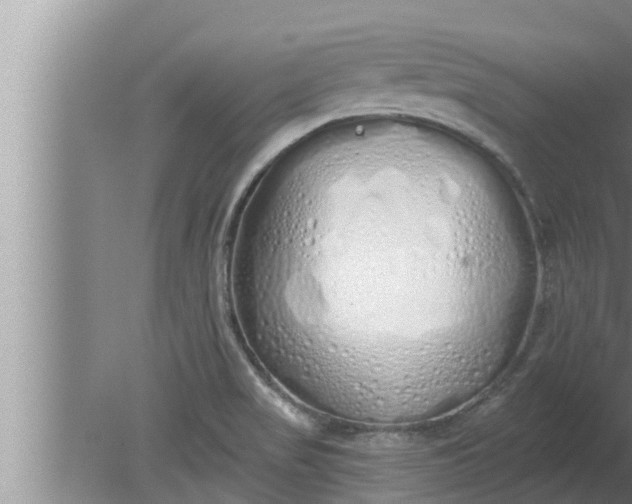 X0000080131517200612221844