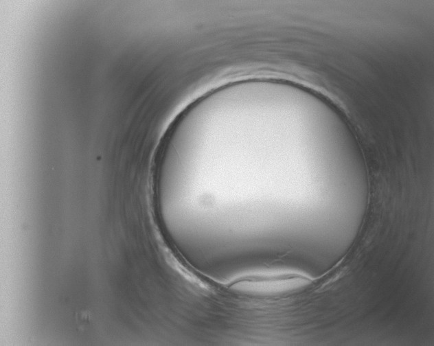 X0000080131518200612221844