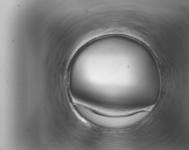 X0000080131519200612221844