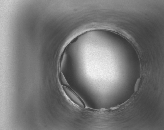 X0000080131520200612221844