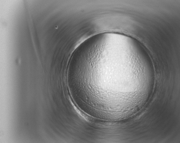 X0000080131521200612221844