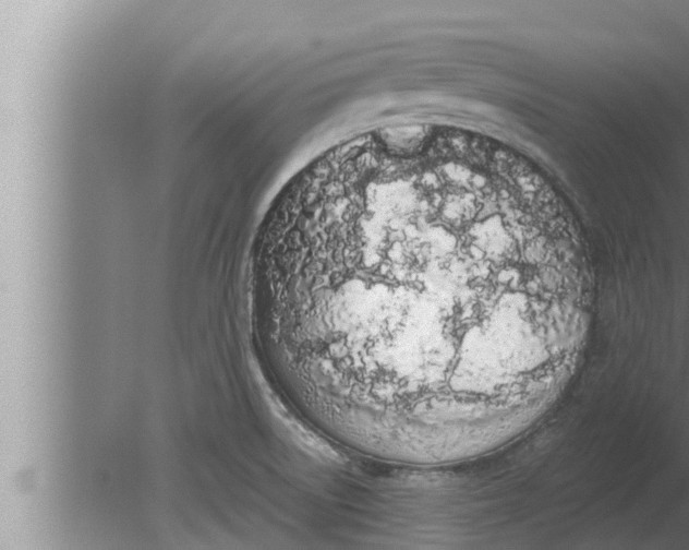 X0000080131522200612221844